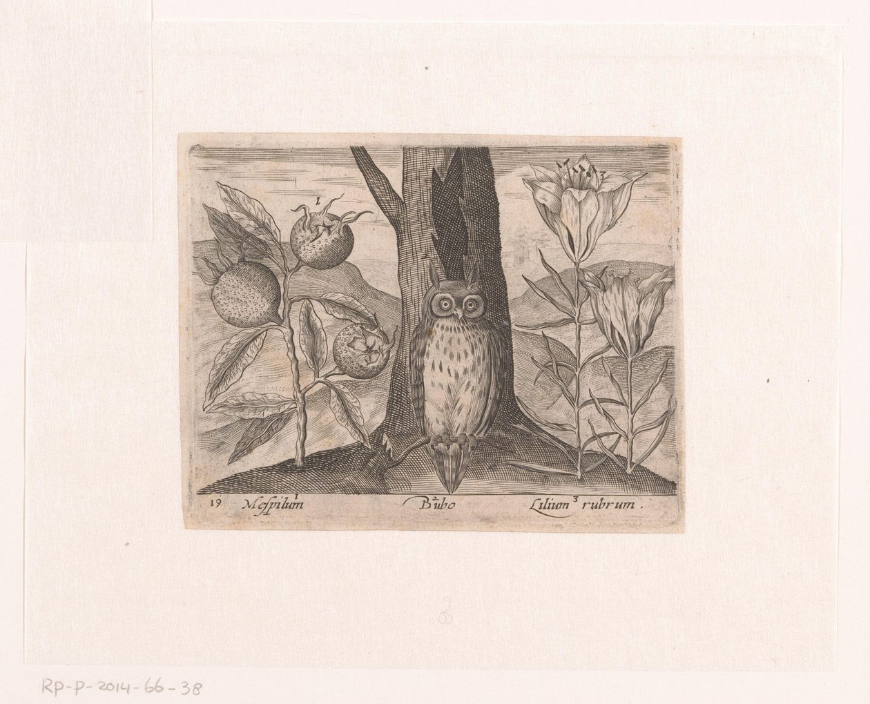 Serie von Drucken mit Blumen und Tieren in einer Landschaft von Johann Hogenberg