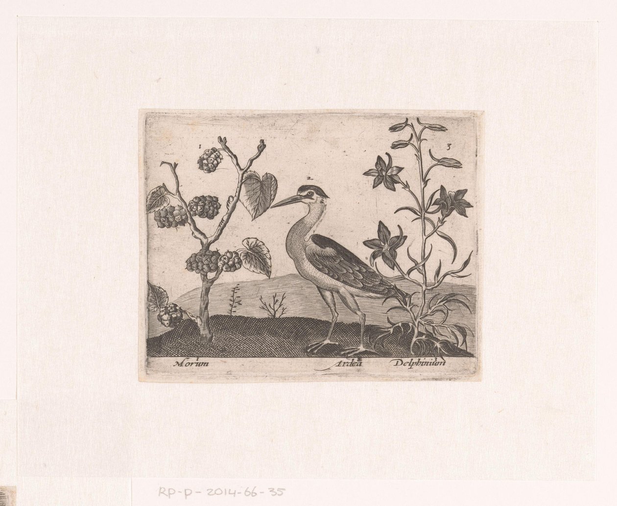 Serie von Drucken mit Blumen und Tieren in einer Landschaft (Landschaften mit Tieren, Pflanzen und Blumen) von Johann Hogenberg