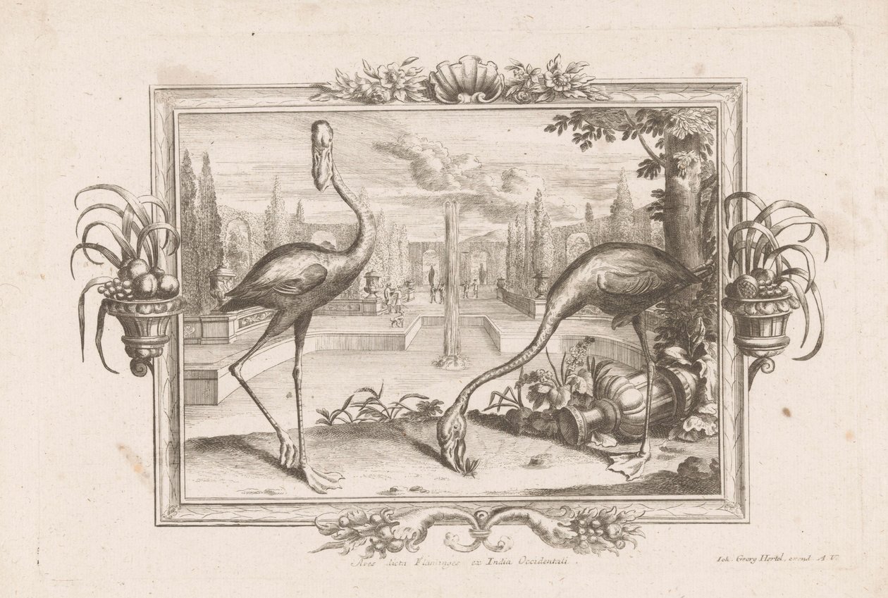 Zwei Flamingos von Johann Jakob Stelzer