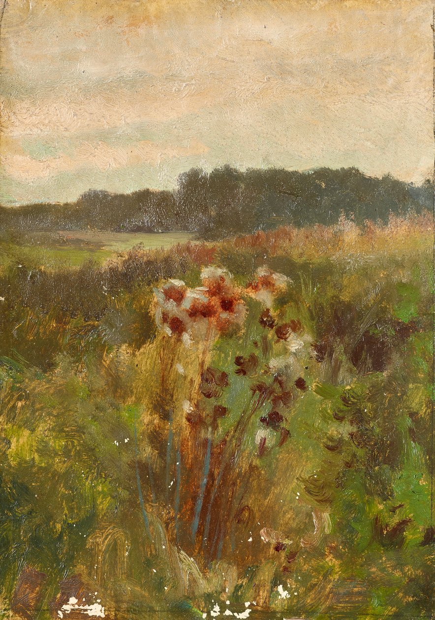 Landschaft in Niederösterreich von Johann  Till der Jüngere