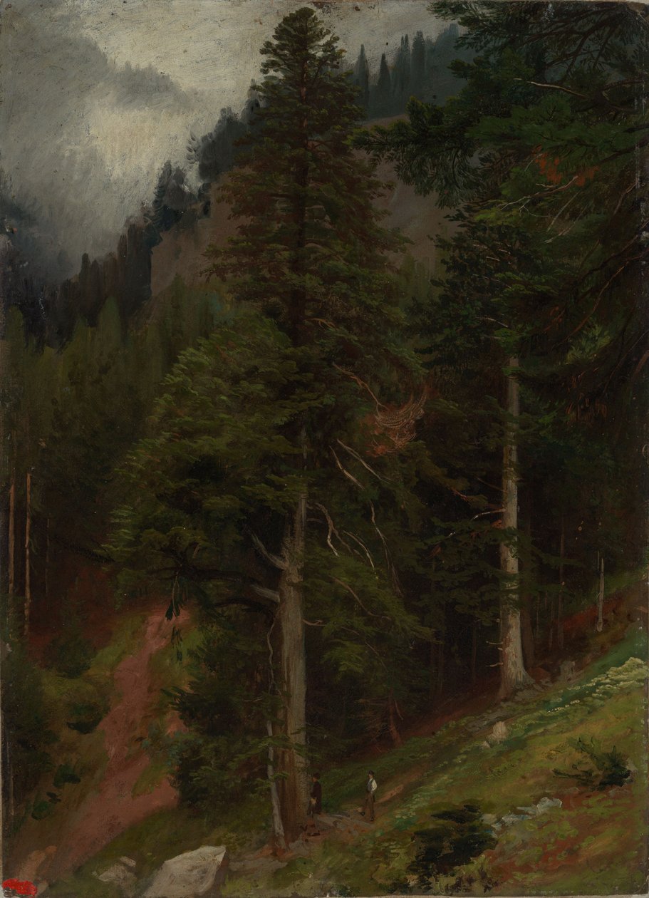 Hang im Tannenwald von Johann Wilhelm Schirmer