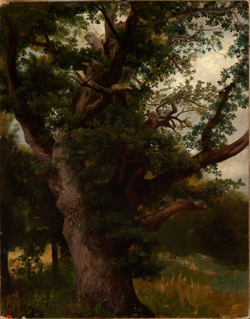 Eichbaum von Johann Wilhelm Schirmer
