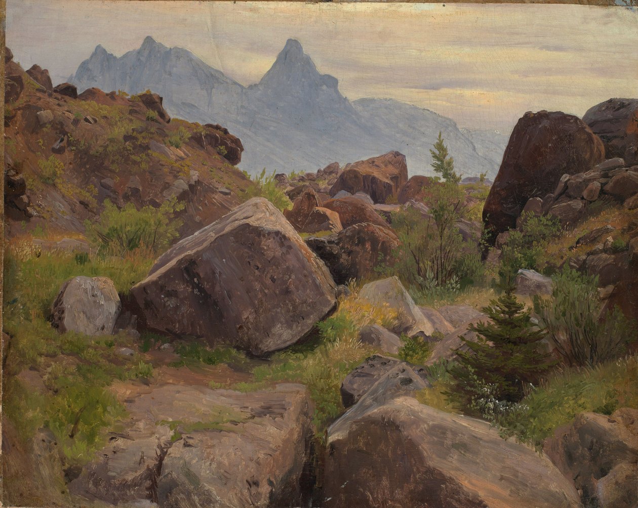 Felsstudie bei Goldau von Johann Wilhelm Schirmer
