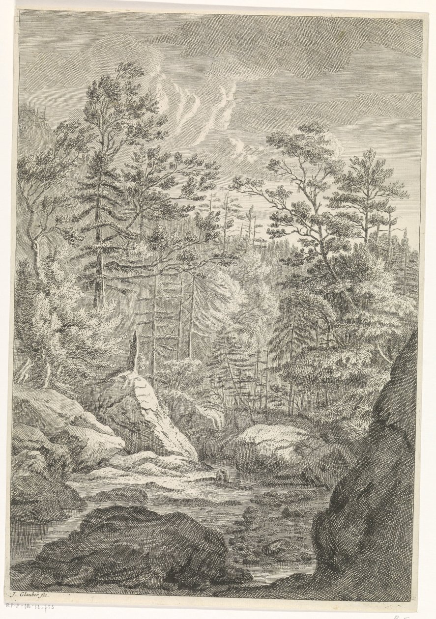Schlucht mit Bäumen und einem Bach von Johannes Glauber