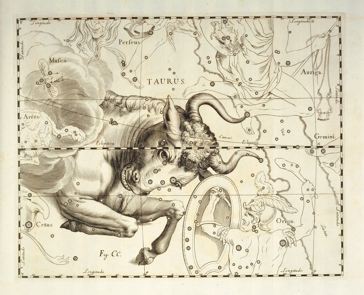 Stier, Sternbild des Stiers, Gravur aus dem Himmelsatlas Firmamentum Sobiescianum sive Uronographia, von Johann Hevelius (1611-1687), Danzig von Johannes Hevelius
