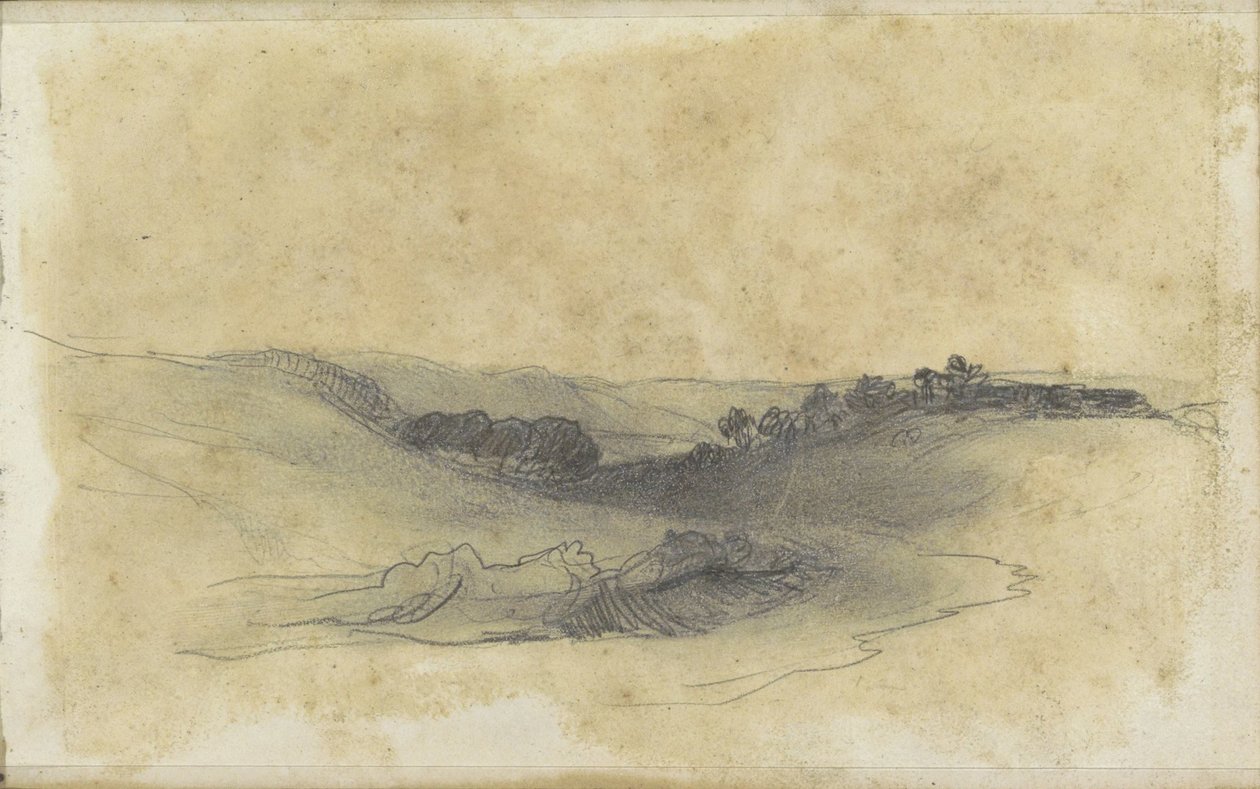 Hügellandschaft mit Bäumen von Johannes Tavenraat