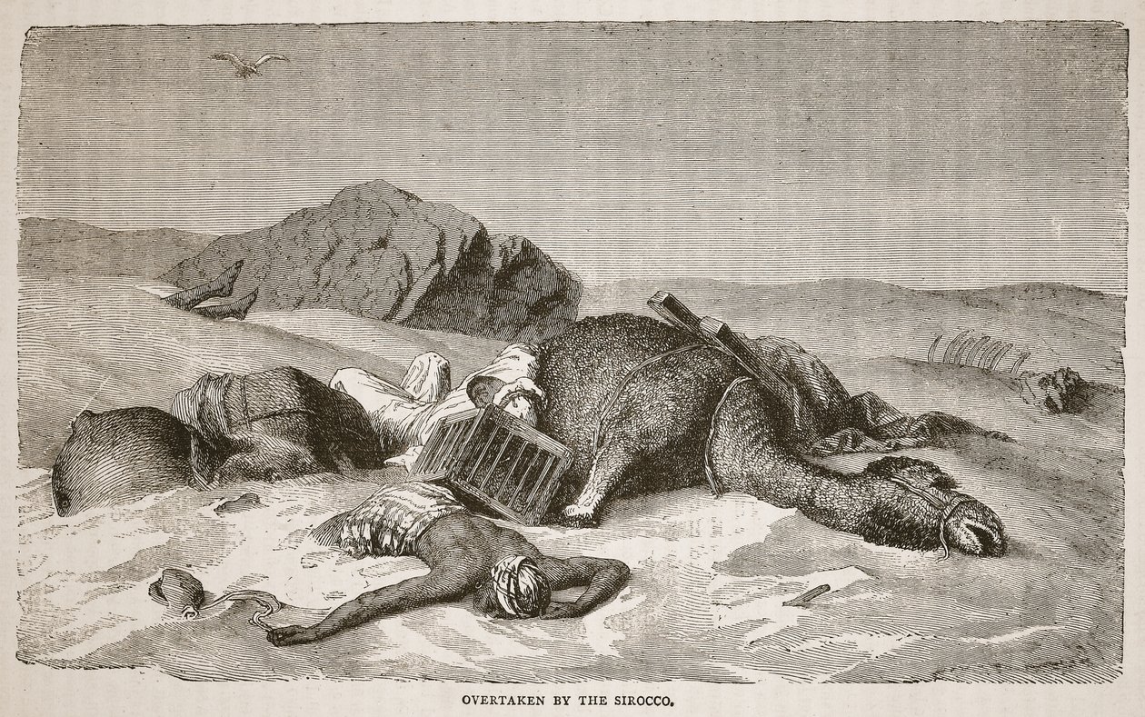 Vom Sirocco überrascht, Illustration aus der Bildausgabe des Lebens und der Entdeckungen von David Livingstone von J. Ewing Richie, veröffentlicht von A. Fullarton und Co., 1876 von John Martin
