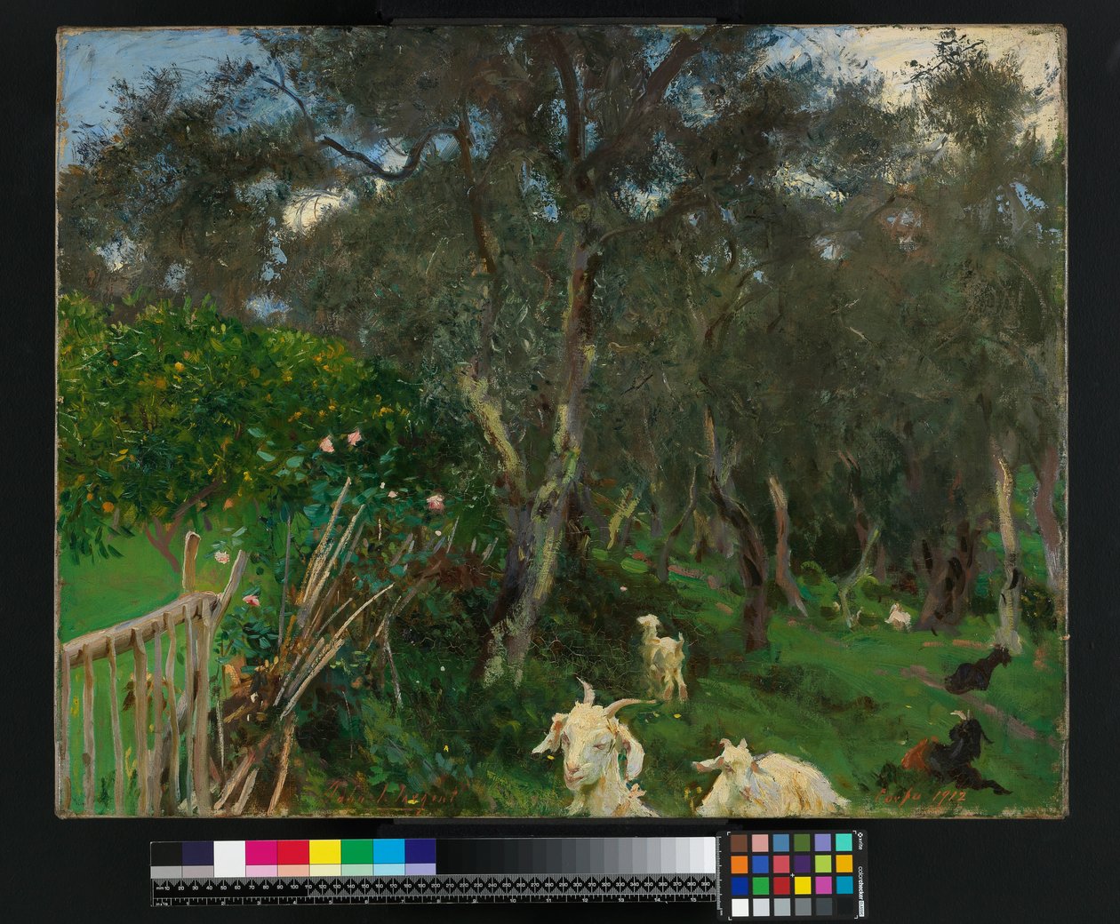 Oliven auf Korfu, 1909 von John Singer Sargent