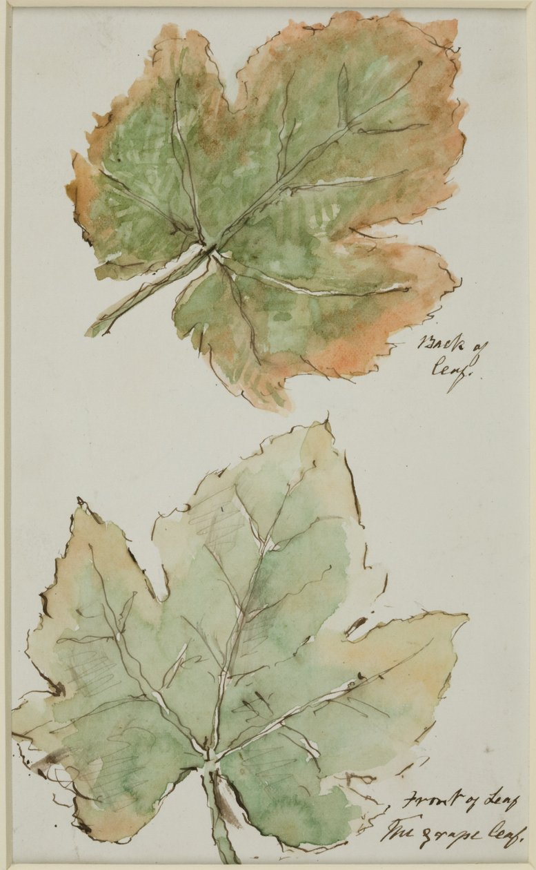 Das Weinblatt von John Wilson Carmichael
