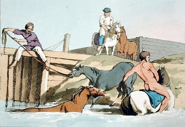 Badende Pferde, geätzt vom Künstler, veröffentlicht 1803 (Farblithografie) von John Augustus Atkinson