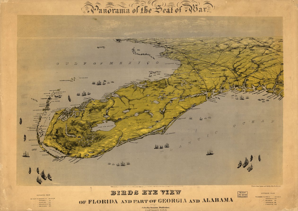 Vogelperspektive von Florida und einem Teil von Georgia und Alabama von John Bachmann