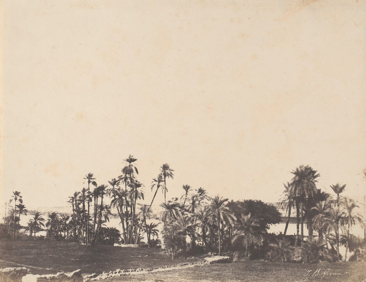 Studie von Palmen, Ufer des Nils, Kalabschi von John Beasley Greene