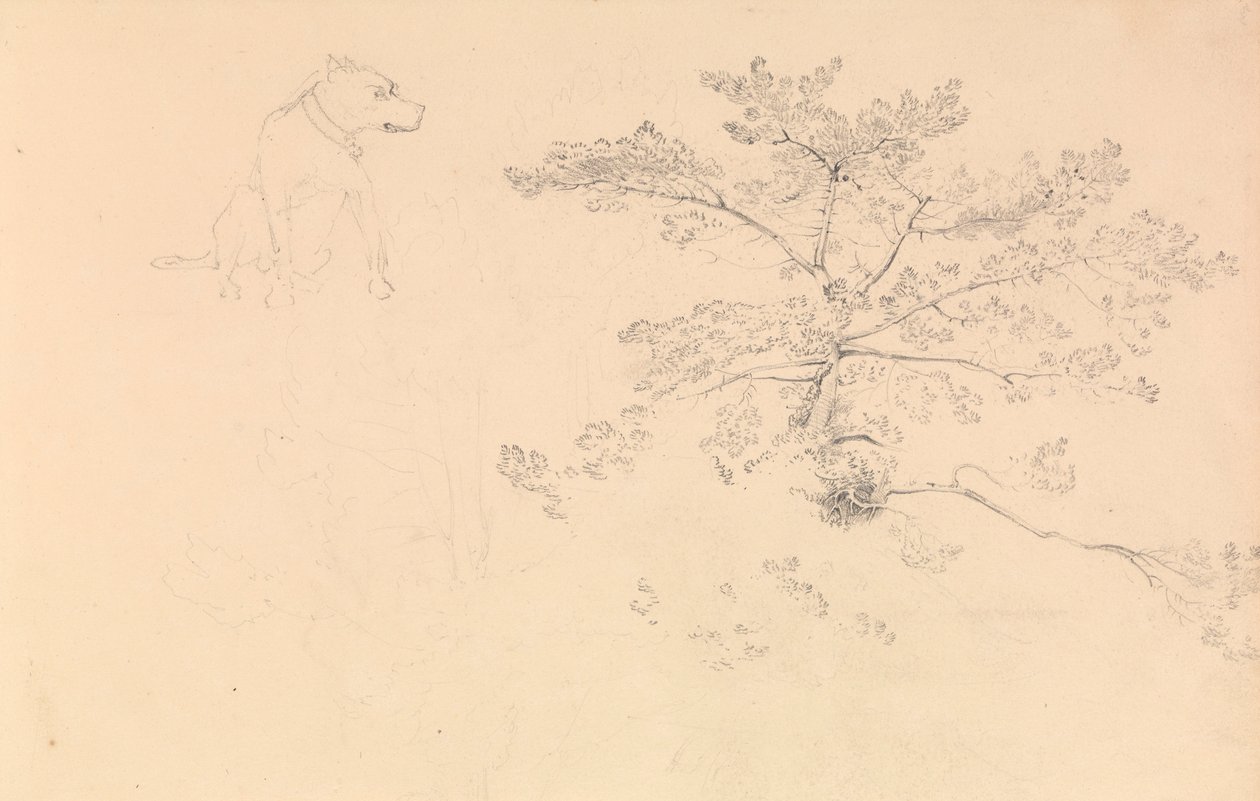 Studie eines Hundes mit Halsband und von Baumzweigen von John Christian Schetky