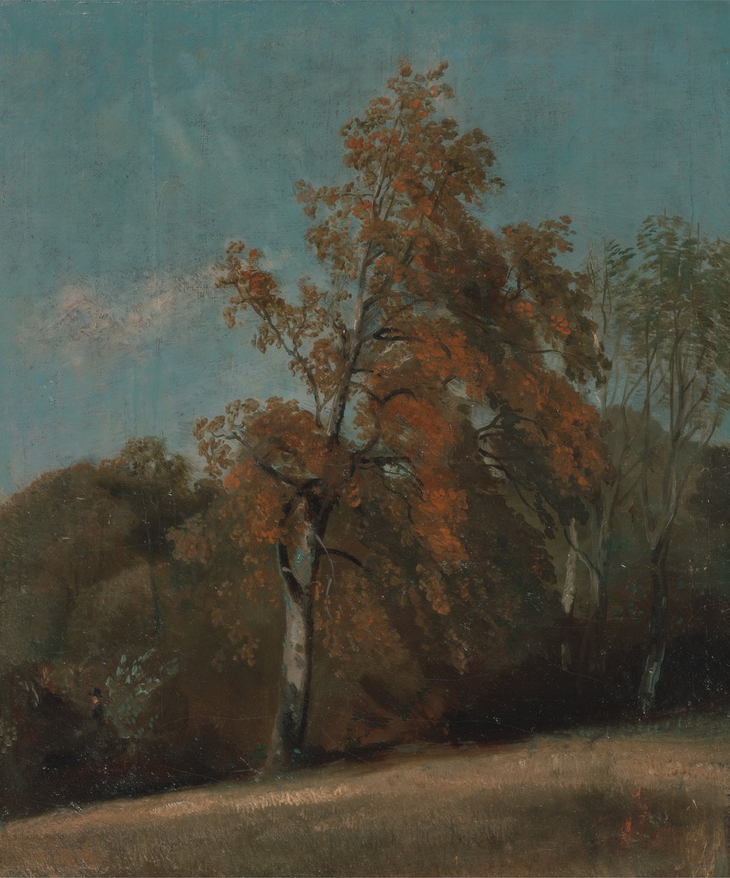 Studie eines Eschenbaums, zwischen 1801 und 1803 oder zwischen 1810 und 1830 von John Constable