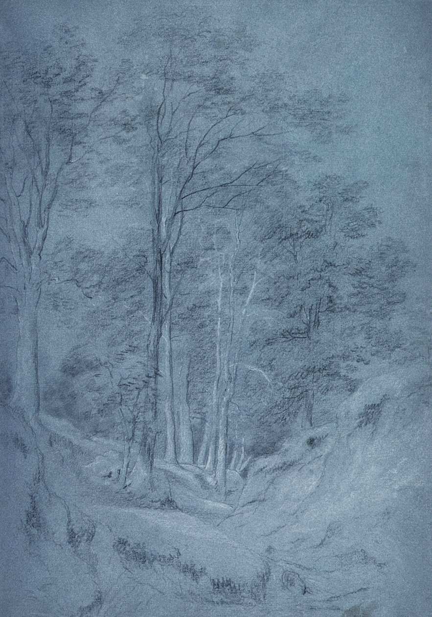 Studie von Eschen und anderen Bäumen von John Constable