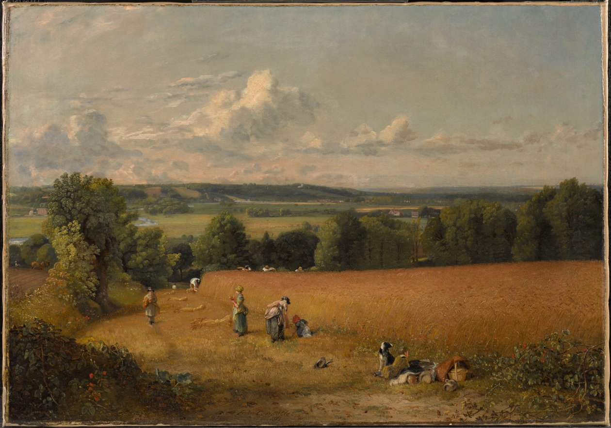 Das Weizenfeld von John Constable