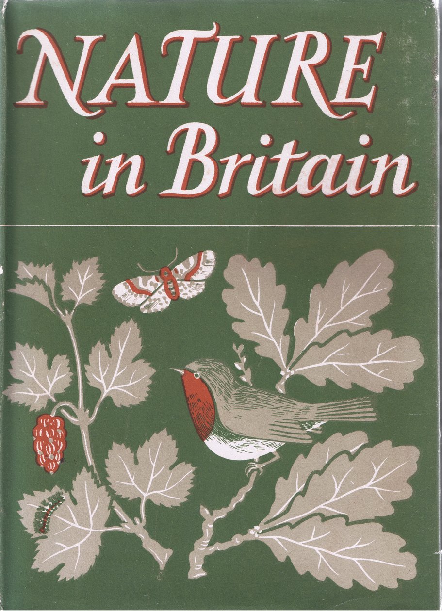 Studie von Bäumen, Natur in Großbritannien, veröffentlicht von Collins, 1946 von John Crome