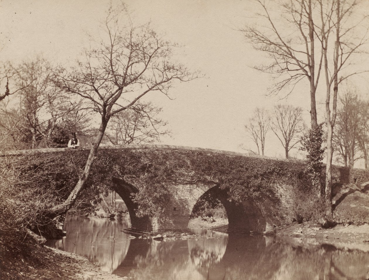 Die Landbrücke Staplylton Bridge, Bristol, ca. 1854-1857 von John Dillwyn Llewelyn