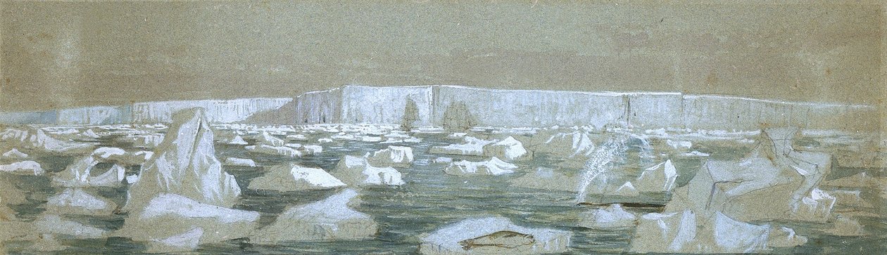 Teil der Südpolbarriere, 2. Februar 1841 von John Edward Davis
