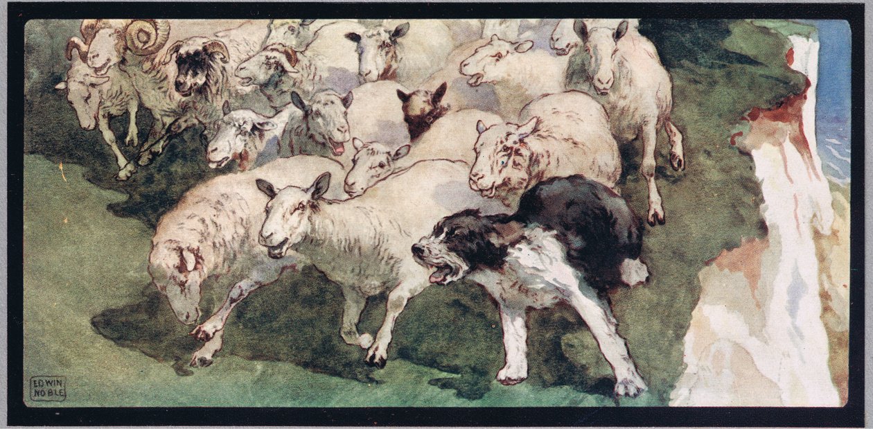 Bobtail-Schäferhund und Herde auf Klippen, Illustration aus 
