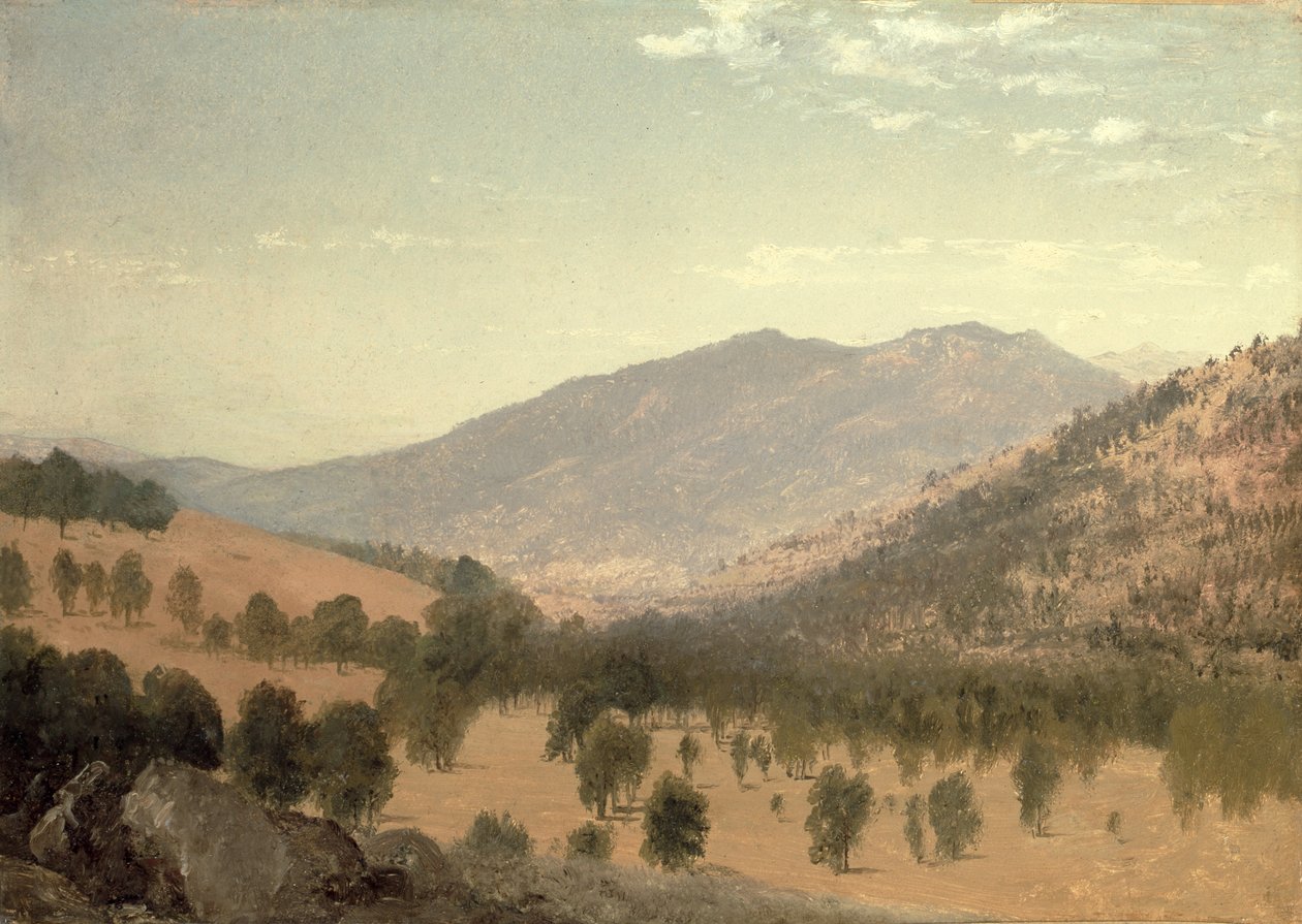 Bergen Park, Colorado von John Frederick Kensett
