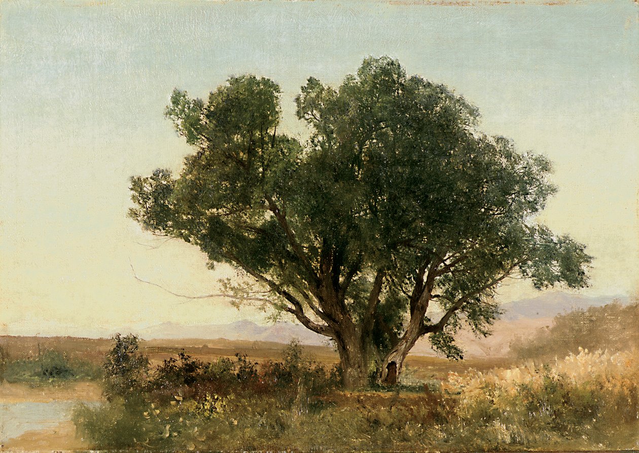 Die Front Range, Colorado von John Frederick Kensett