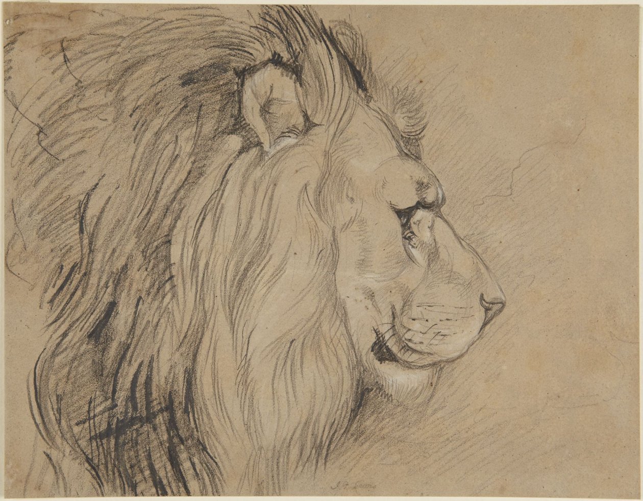 Löwe von John Frederick Lewis