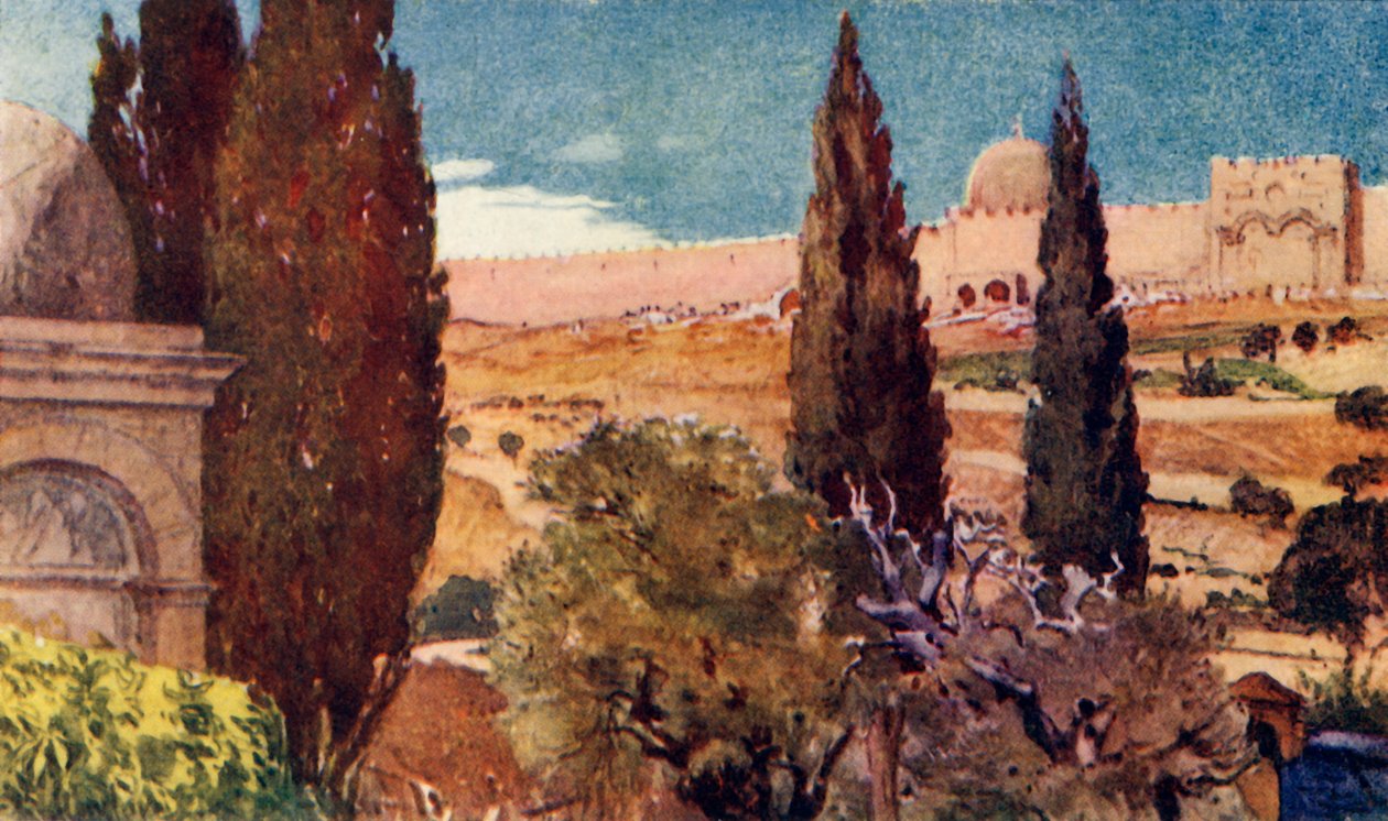 Die Zypressen des Gartens von Gethsemane, 1902 von John Fulleylove