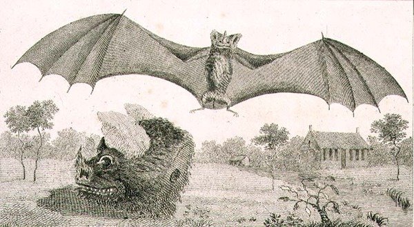 Der Vampir oder Geist von Guiana von John Gabriel (after) Stedman