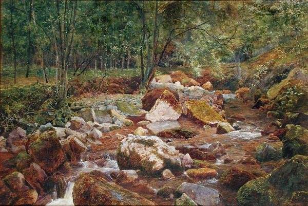 Ein felsiger Bach, überhangen von Bäumen (Aquarell und Körperfarbe mit Gummi arabicum auf Papier) von John George Sowerby