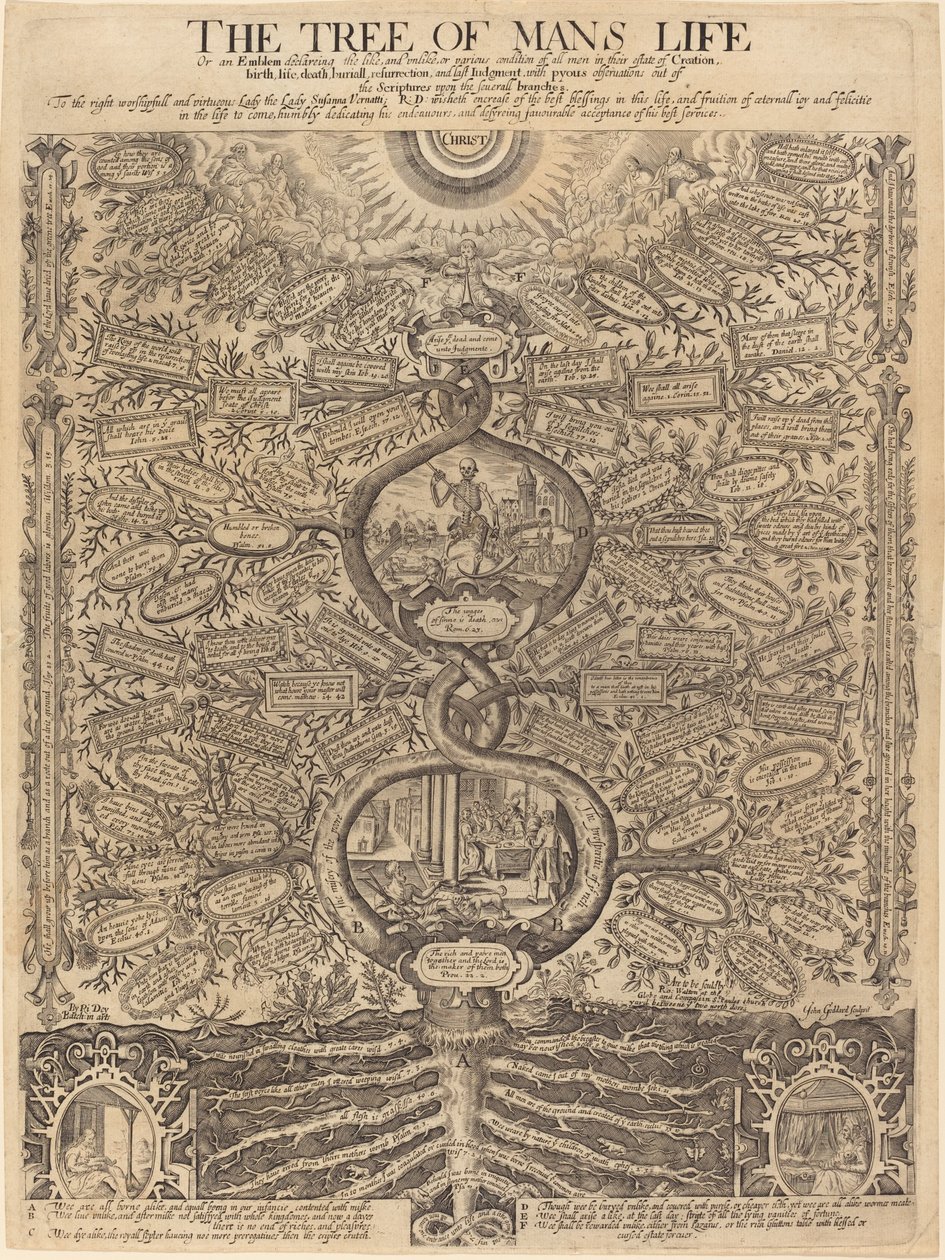 Der Baum des menschlichen Lebens von John Goddard, after Richard Dey