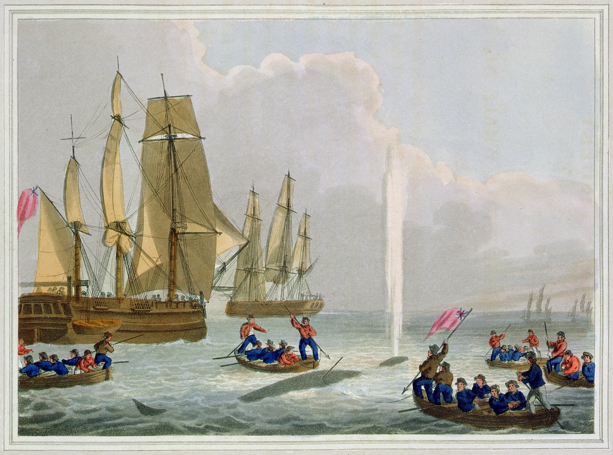 Boote nähern sich einem Wal, graviert von Matthew Dubourg, veröffentlicht von Edward Orme, 1813 von John Heaviside Clark