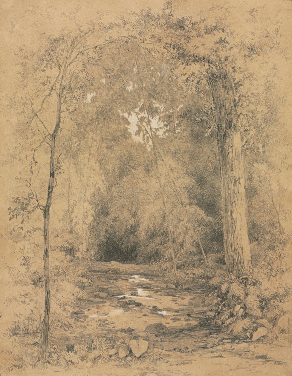 Waldinneres, ca. 1870 von John Henry Hill