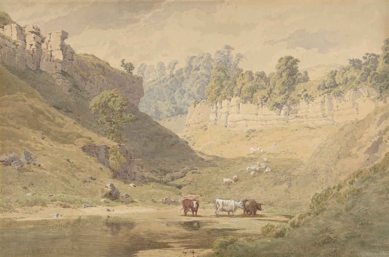Rinder an einer Wasserstelle in einem Tal, 1830-86 von John Henry Mole