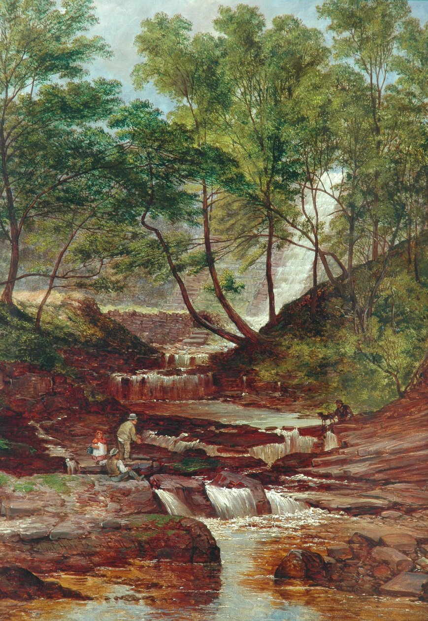 Cat Holes Dam Fall in Todmorden von John Holland