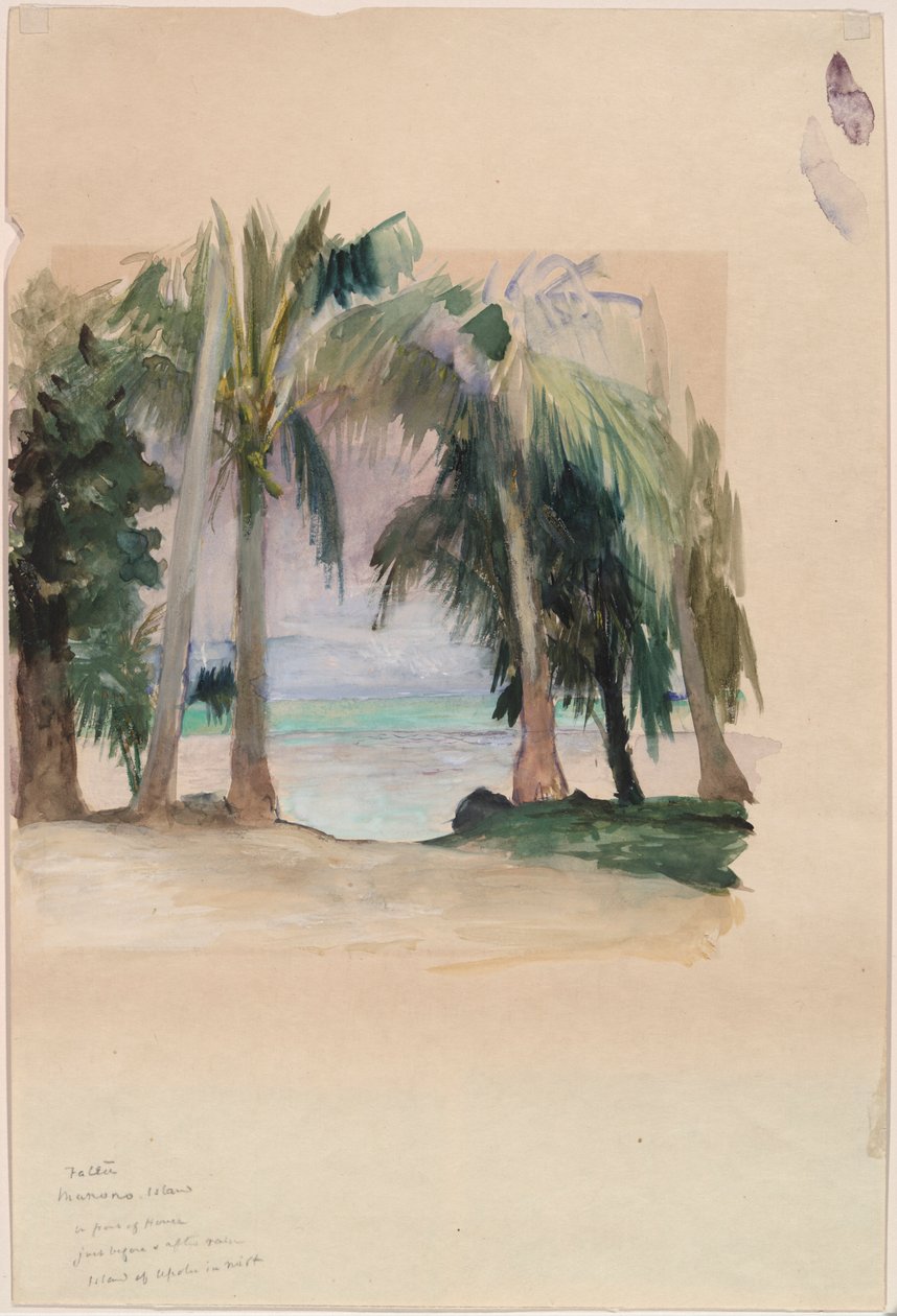 Palmen am Meer von John La Farge