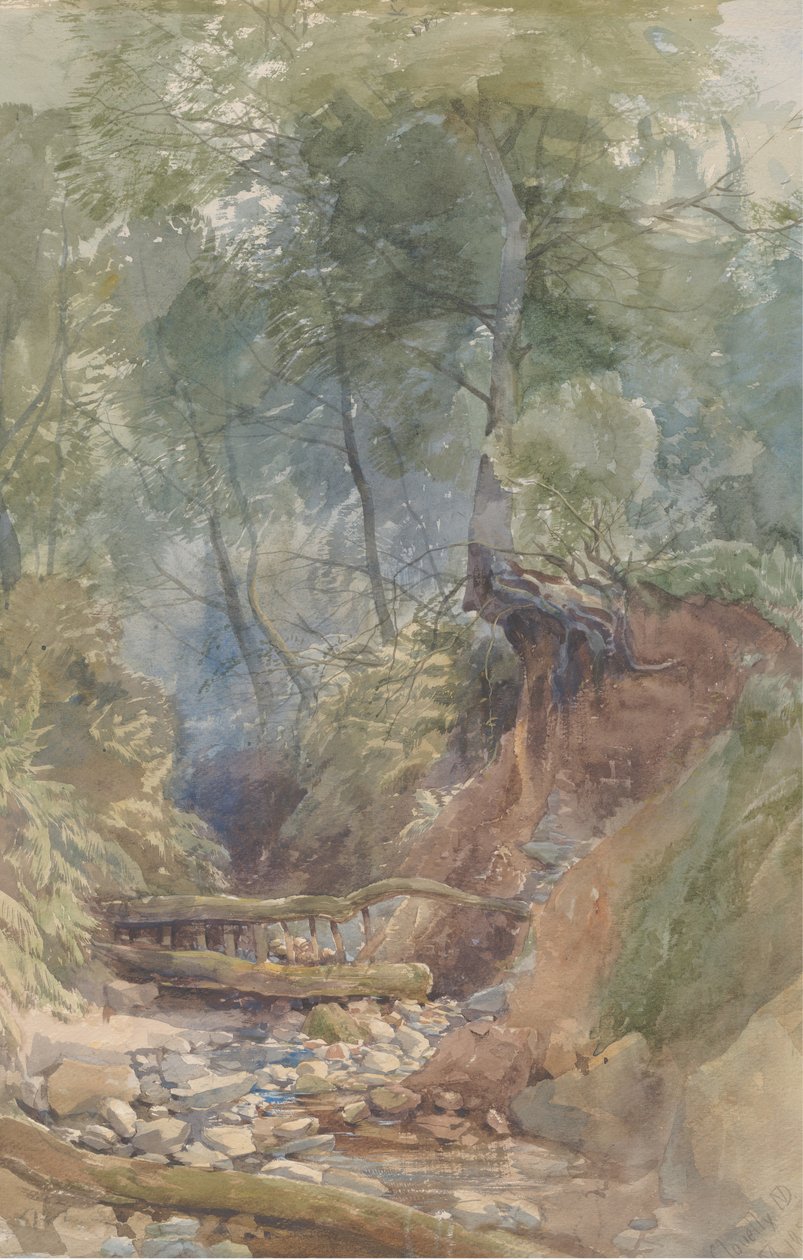 Ein Bach in der Nähe von Clovelly, Nord-Devon, 1850 von John Middleton