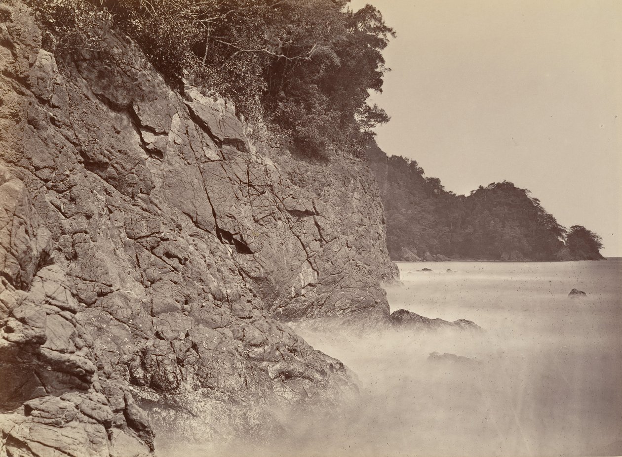Tropische Landschaft, Klippe - Limon Bay von John Moran