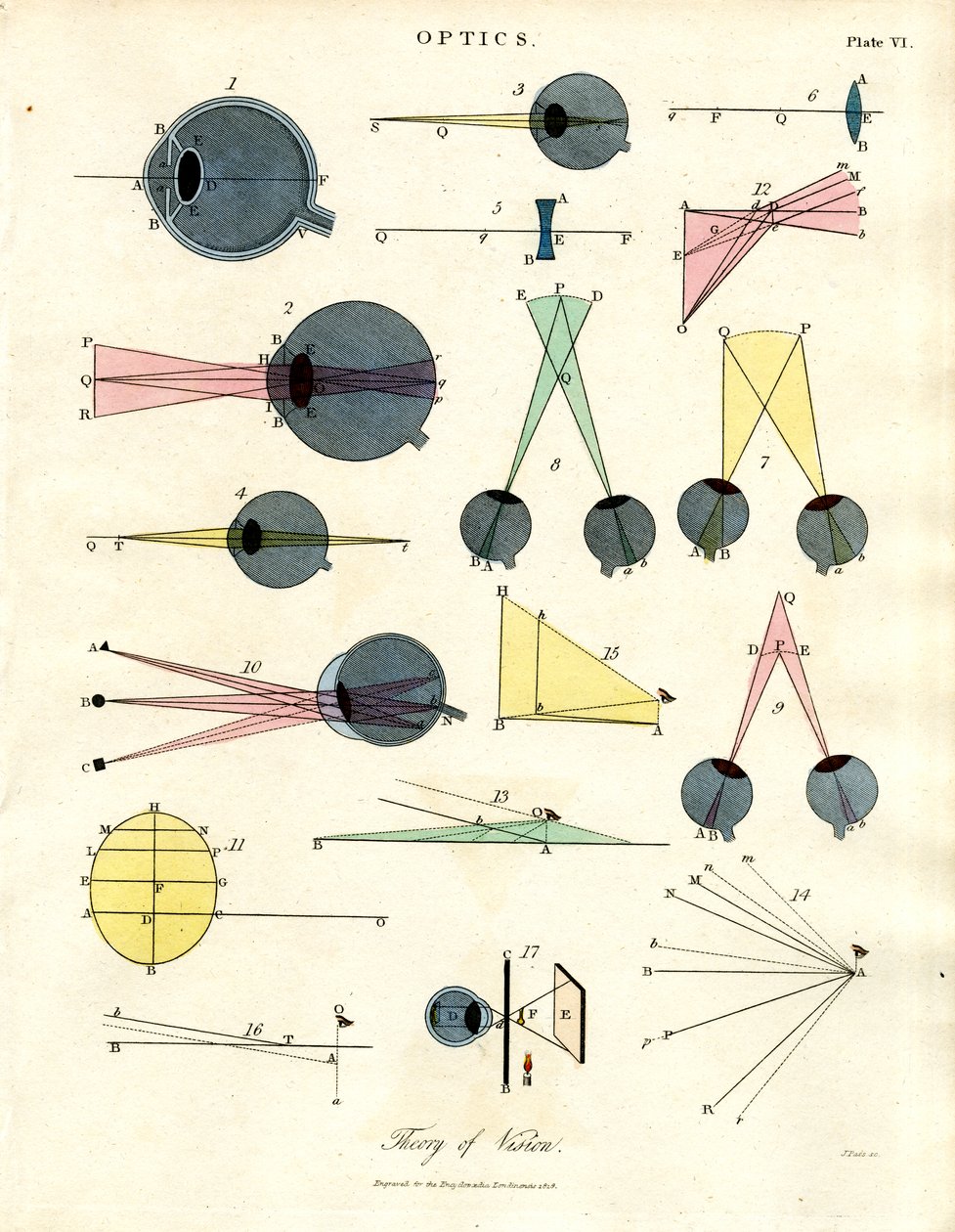 Optik: Theorie des Sehens (Tafel VI) von John Pass