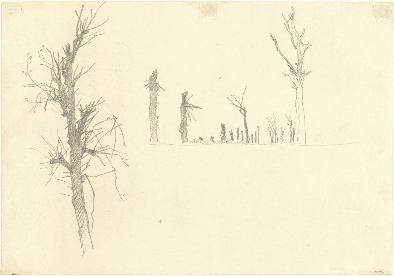 Verwüstete Bäume von John Singer Sargent