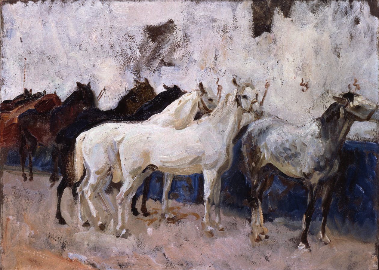 Pferde in Palma, Mallorca, Spanien, 1908 von John Singer Sargent