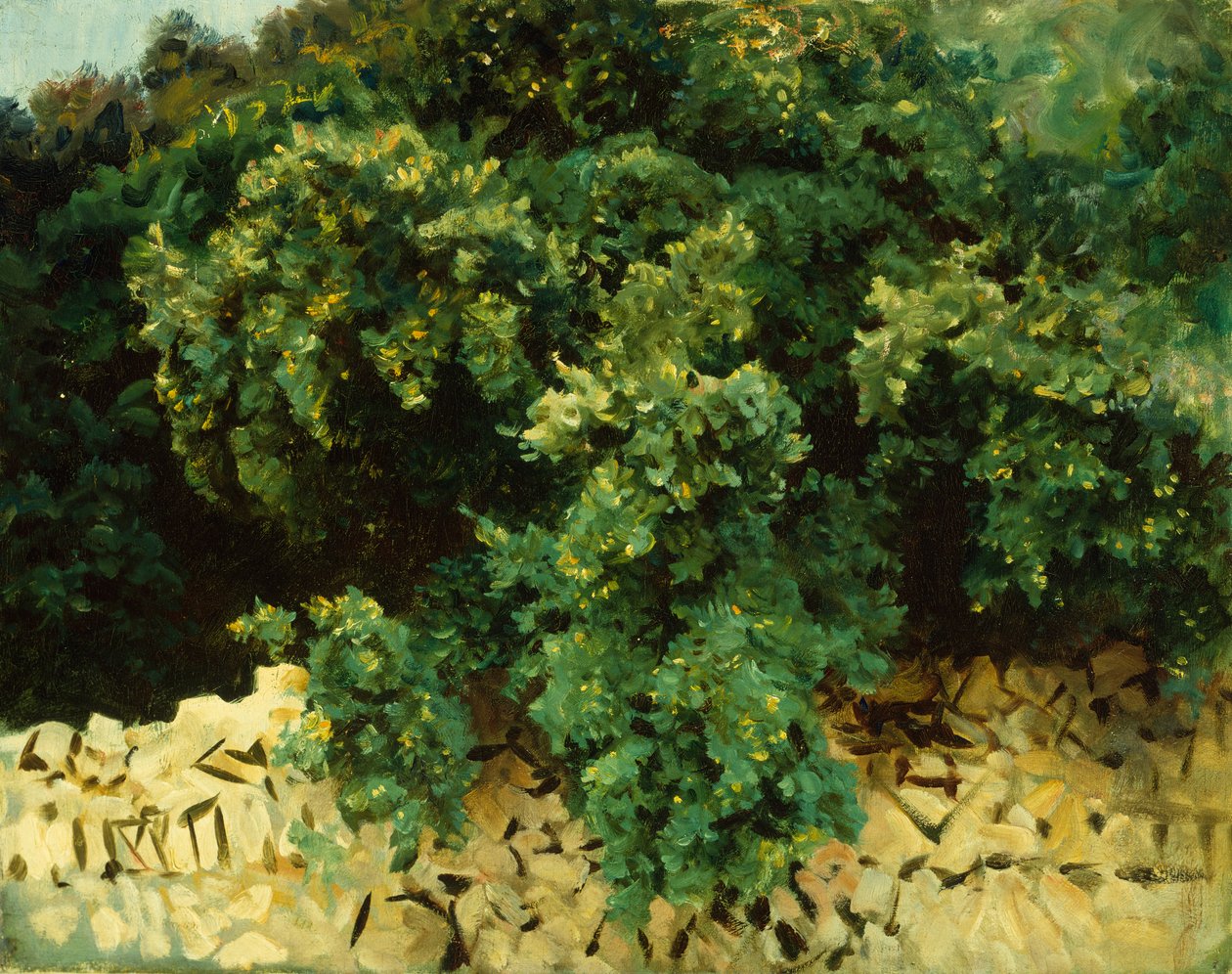 Ilex-Wald, Mallorca von John Singer Sargent