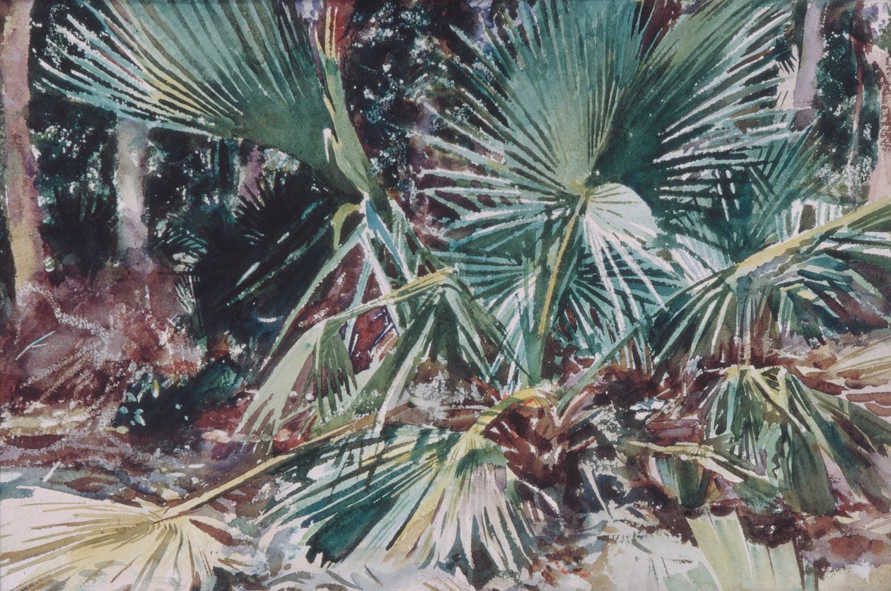 Palmettos, 1917 von John Singer Sargent