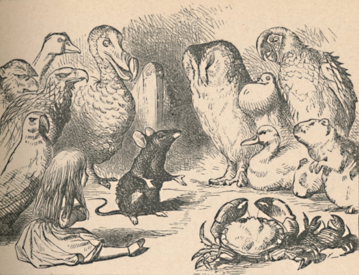 Illustration für das Kapitel ein Caucus-Rennen und ein langer Schwanz. Alice und verschiedene Kreaturen von John Tenniel