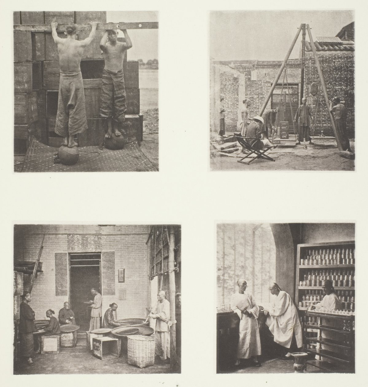 Rollen von duftendem Kapern- und Schießpulvertee; Wiegen von Tee für den Export; Ein Teehaus, Kanton; Ein Tee-Verkostungsraum, Kanton von John Thomson