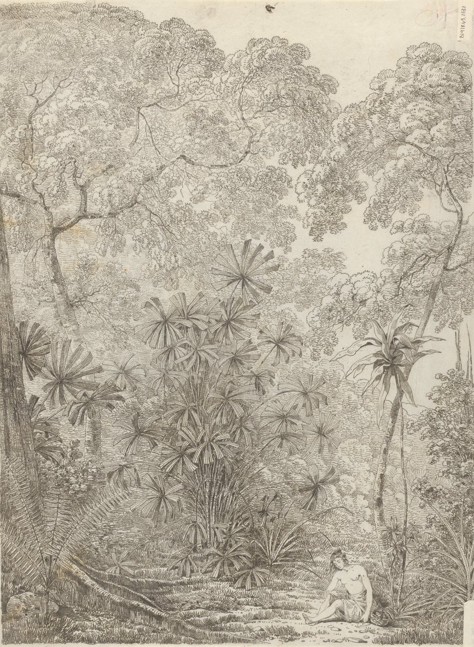 Die Fächerpalme von Krakatau von John Webber