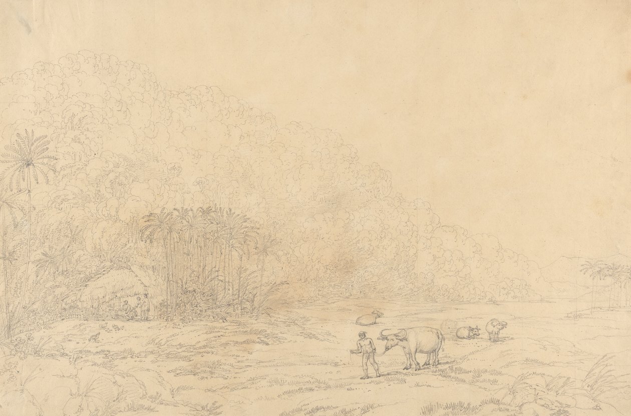 Ansicht auf der Insel Pulo Condore von John Webber