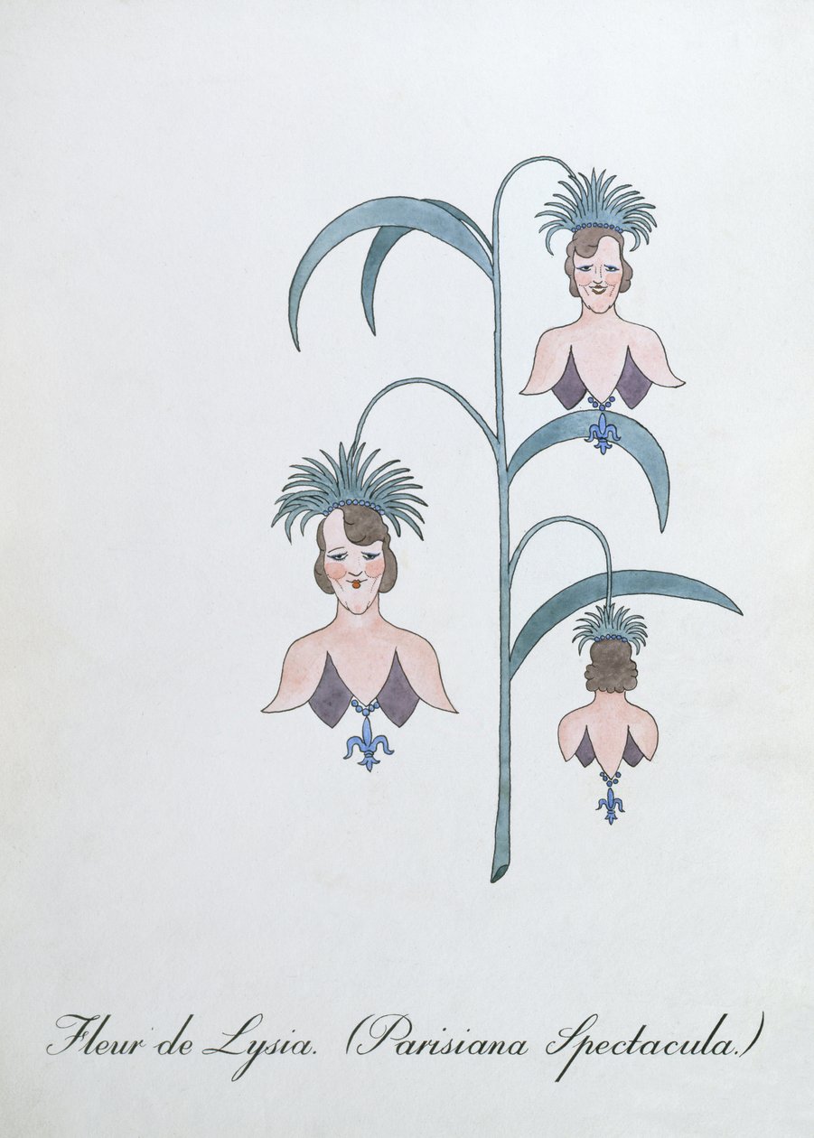 Fleur de Lysia (Parisiana Spectacula.), Illustration aus 