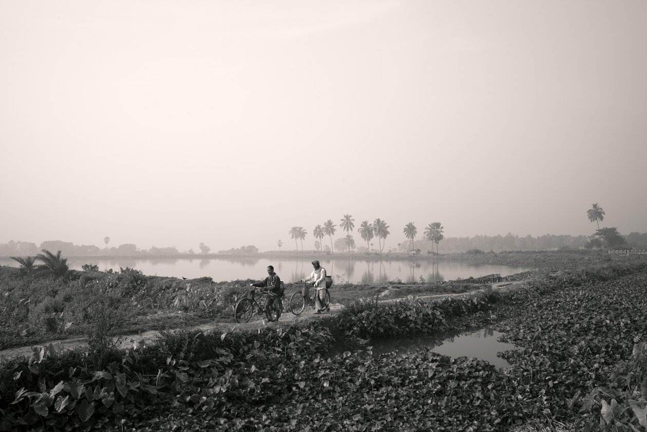 Fischerei im Feuchtgebiet in Kolkata, 2016 von Jon Nicholson