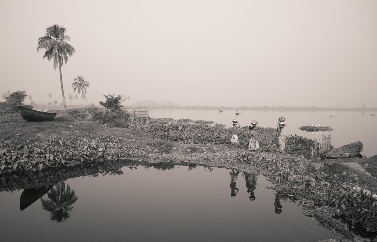 Fischerei im Feuchtgebiet in Kolkata, 2016 von Jon Nicholson